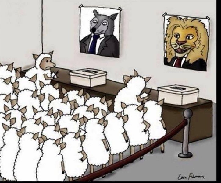 الديمقراطية يا صديقي هي أن تختار من سيأكلك ."

- مثل عالمي