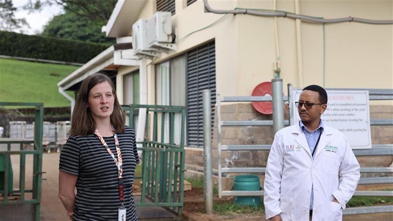 ILRI.org (@ilri) on Twitter photo <a href="/WorldBank/">World Bank</a> <a href="/ArndtClaudia/">Claudia Arndt</a> <a href="/awhitbr/">Anthony M. Whitbread</a> <a href="/CGIARAfrica/">AICCRA</a> <a href="/kilimoKE/">Ministry of Agriculture & Livestock Development</a> <a href="/FAO/">Food and Agriculture Organization</a> 3) Topics range from integrating productivity, resilience, and mitigation strategies to economic and financial analysis and GHG accounting tools for sustainable climate-smart livestock systems interventions, visiting <a href="/Mazingira_ILRI/">Mazingira Centre</a> to understand GHG measurements better. <a href="/WorldBank/">World Bank</a> <a href="/ArndtClaudia/">Claudia Arndt</a> <a href="/awhitbr/">Anthony M. Whitbread</a> <a href="/CGIARAfrica/">AICCRA</a> <a href="/kilimoKE/">Ministry of Agriculture & Livestock Development</a> <a href="/FAO/">Food and Agriculture Organization</a> 3) Topics range from integrating productivity, resilience, and mitigation strategies to economic and financial analysis and GHG accounting tools for sustainable climate-smart livestock systems interventions, visiting <a href="/Mazingira_ILRI/">Mazingira Centre</a> to understand GHG measurements better.