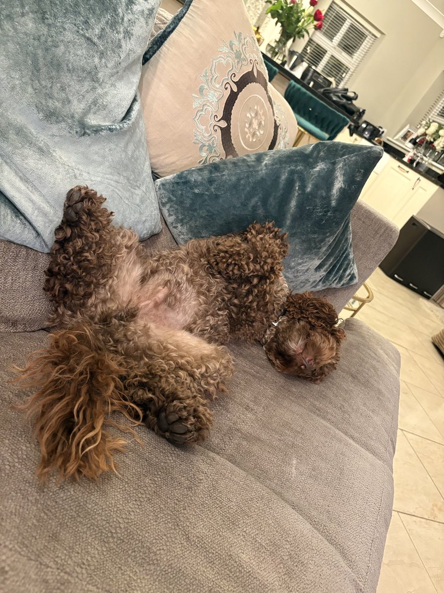 Jonathan Davies CBE tweet media