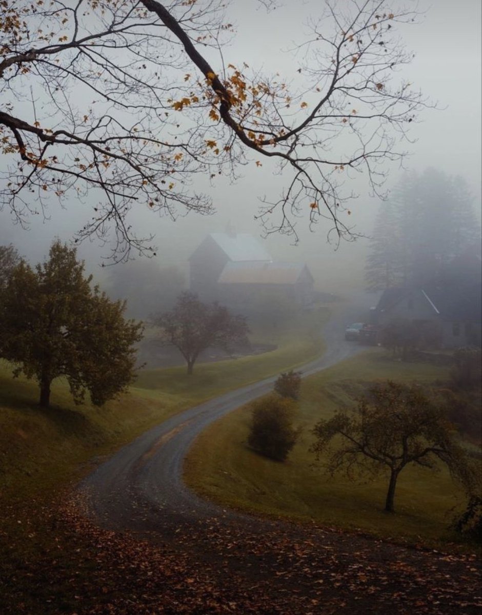visualtherapy0's tweet image. entering into winter after making some of the best memories of the year in Fall 🍁🍂