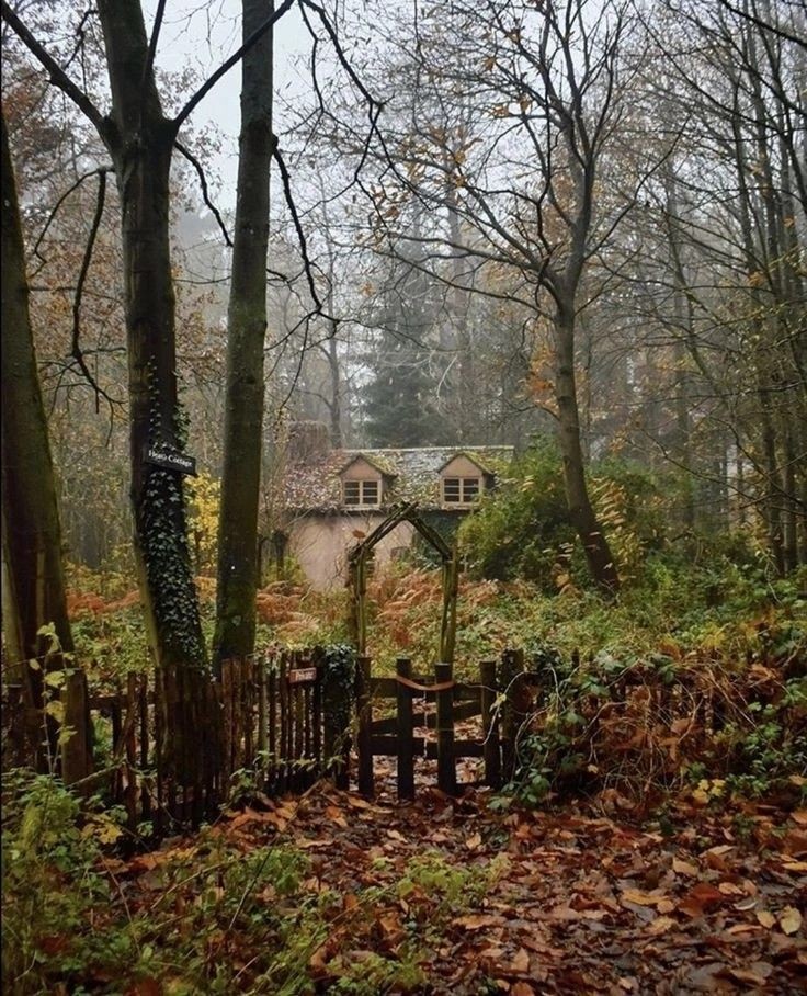 visualtherapy0's tweet image. entering into winter after making some of the best memories of the year in Fall 🍁🍂