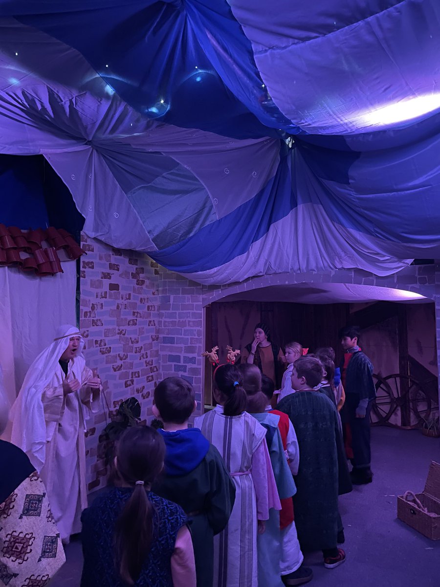 Tang Hall Owls tweet media