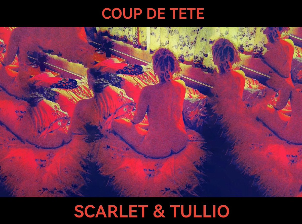 scarletmonahan's tweet image. 