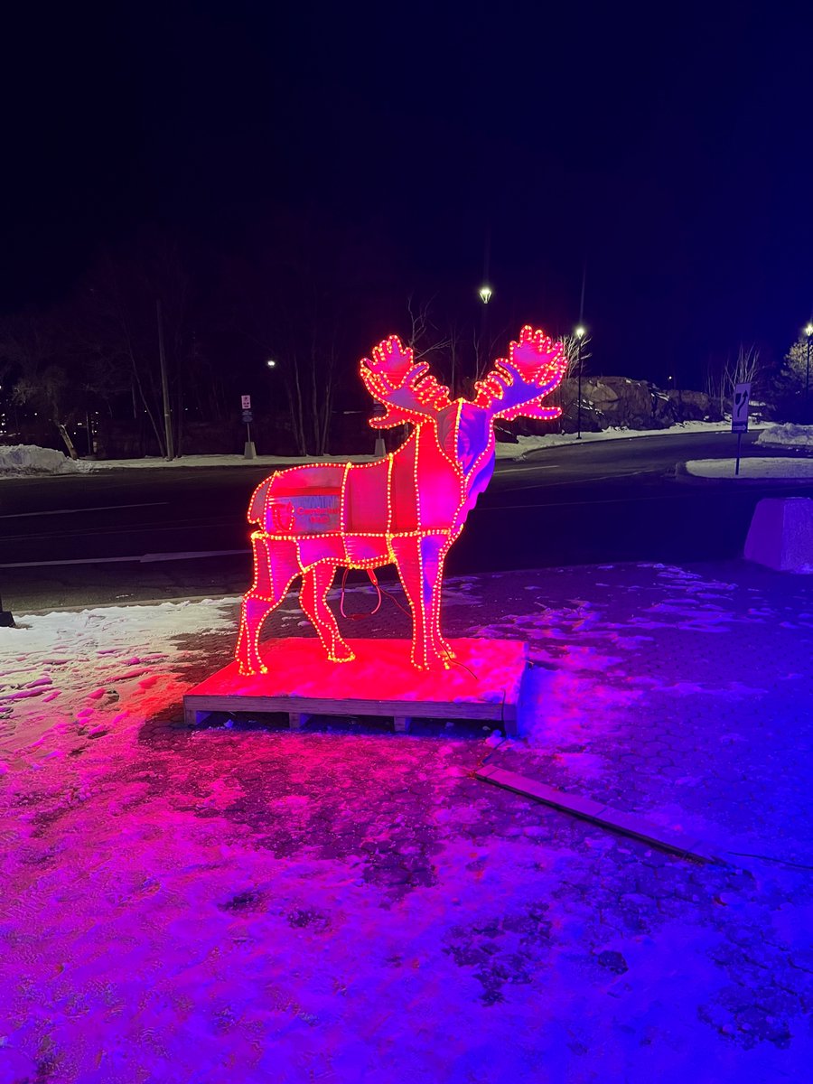 CambrianRD's tweet image. Excited to light up the season!  Our team proudly designed and donated these stunning light displays for the Festival of Lights @ScienceNorth. Don’t miss this magical experience, happening now until Christmas! ✨🎄  #AppliedResearch #CommunityBuilding