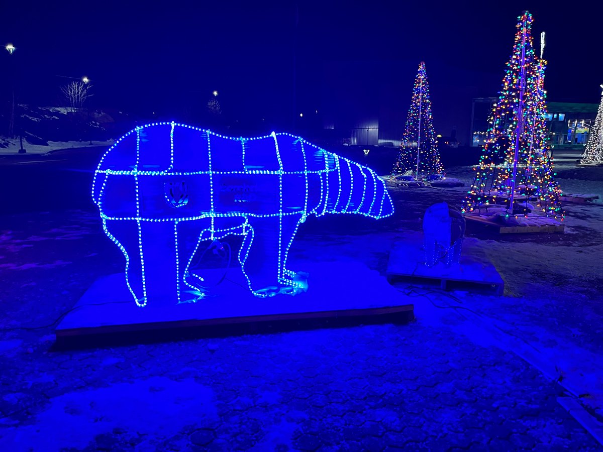 CambrianRD's tweet image. Excited to light up the season!  Our team proudly designed and donated these stunning light displays for the Festival of Lights @ScienceNorth. Don’t miss this magical experience, happening now until Christmas! ✨🎄  #AppliedResearch #CommunityBuilding