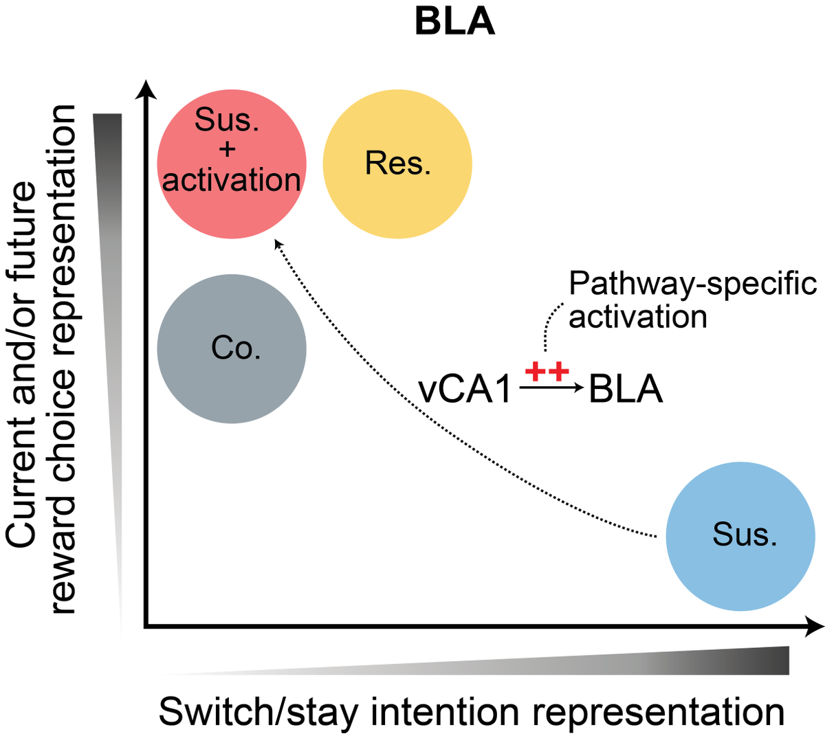 Frances Xia tweet media