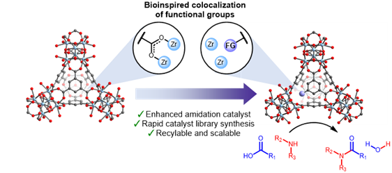 Milner Group at Cornell University (@runofthephill) on Twitter photo Check out our newest work on designing MOFs for amide bond catalysis (ABC), now out in <a href="/J_A_C_S/">J. Am. Chem. Soc.</a>! Congrats to Bayu Ron <a href="/RonnyJ48/">Ron Jerozal</a> and Zoe and our collaborators, Changwan and Yeongsu from <a href="/KulikGroup/">the Kulik Group</a> and <a href="/TheLambertLab/">Lambert Lab</a> <a href="/TristanHLambert/">Tristan Lambert</a>! #MOFganic
pubs.acs.org/doi/full/10.10… Check out our newest work on designing MOFs for amide bond catalysis (ABC), now out in <a href="/J_A_C_S/">J. Am. Chem. Soc.</a>! Congrats to Bayu Ron <a href="/RonnyJ48/">Ron Jerozal</a> and Zoe and our collaborators, Changwan and Yeongsu from <a href="/KulikGroup/">the Kulik Group</a> and <a href="/TheLambertLab/">Lambert Lab</a> <a href="/TristanHLambert/">Tristan Lambert</a>! #MOFganic
pubs.acs.org/doi/full/10.10…