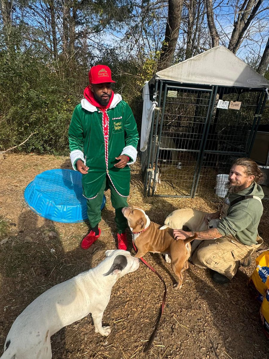 iamrodneysmith's tweet image. If you’re in Arkansas and looking to add a furry friend to your family, consider adopting from Nova Star Rescue &amp;amp; all the other shelters &amp;amp; rescues . They have so many wonderful dogs, from playful puppies to gentle giants, all waiting for a chance at a forever home filled with…