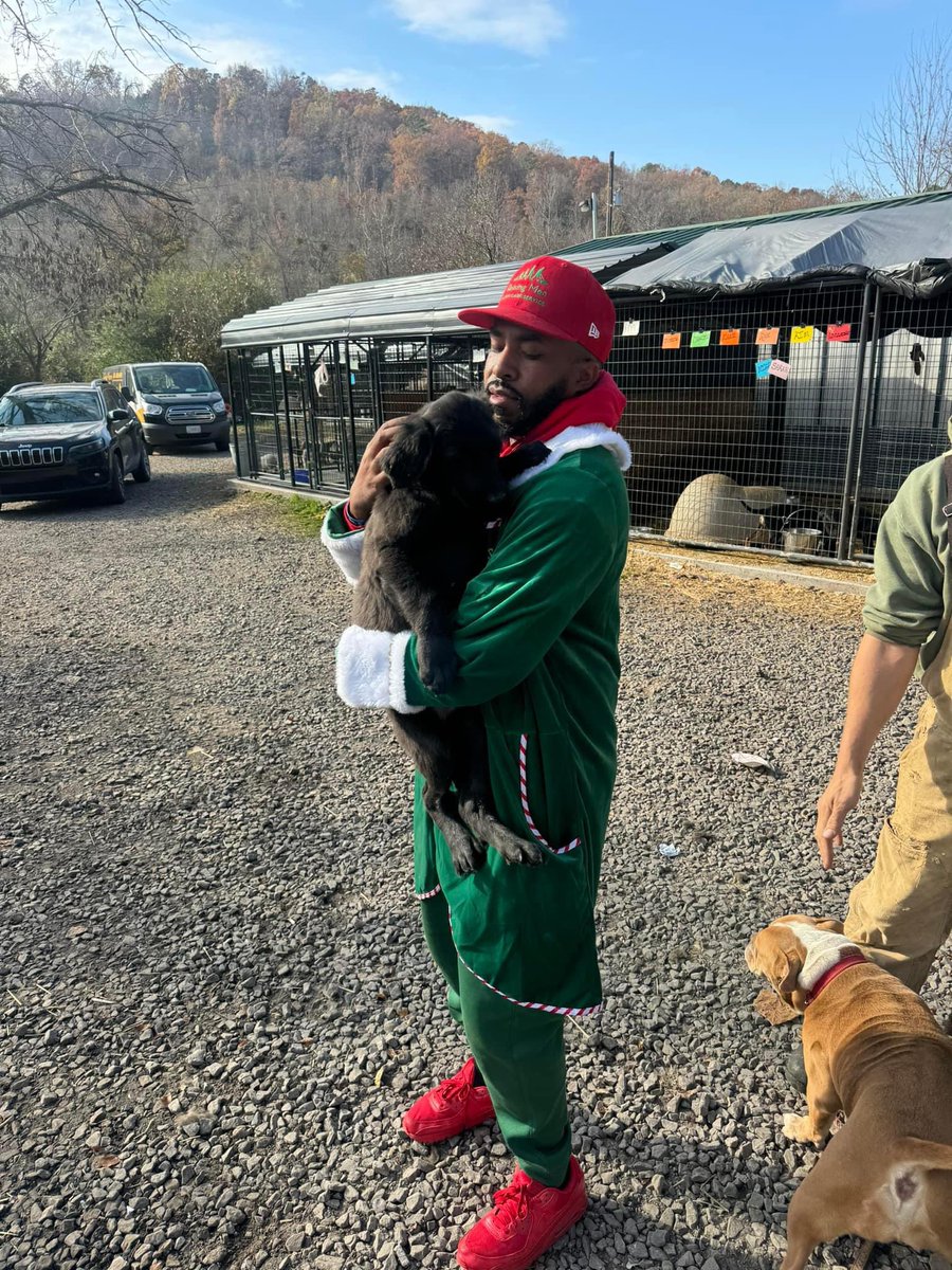 iamrodneysmith's tweet image. If you’re in Arkansas and looking to add a furry friend to your family, consider adopting from Nova Star Rescue &amp;amp; all the other shelters &amp;amp; rescues . They have so many wonderful dogs, from playful puppies to gentle giants, all waiting for a chance at a forever home filled with…