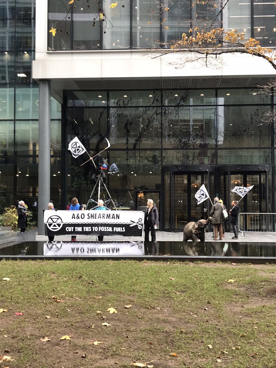 Deb Elliott tweet media