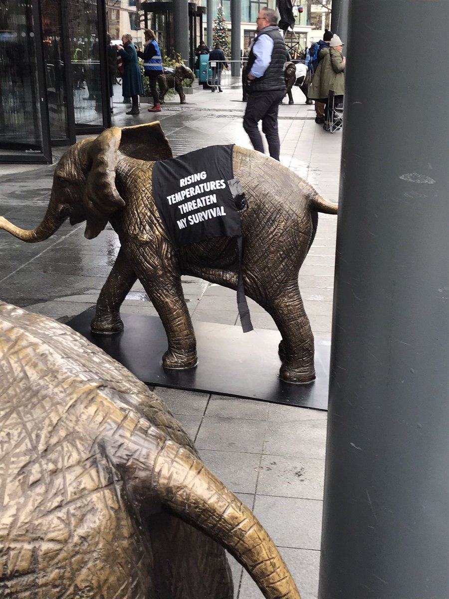 Deb Elliott tweet media