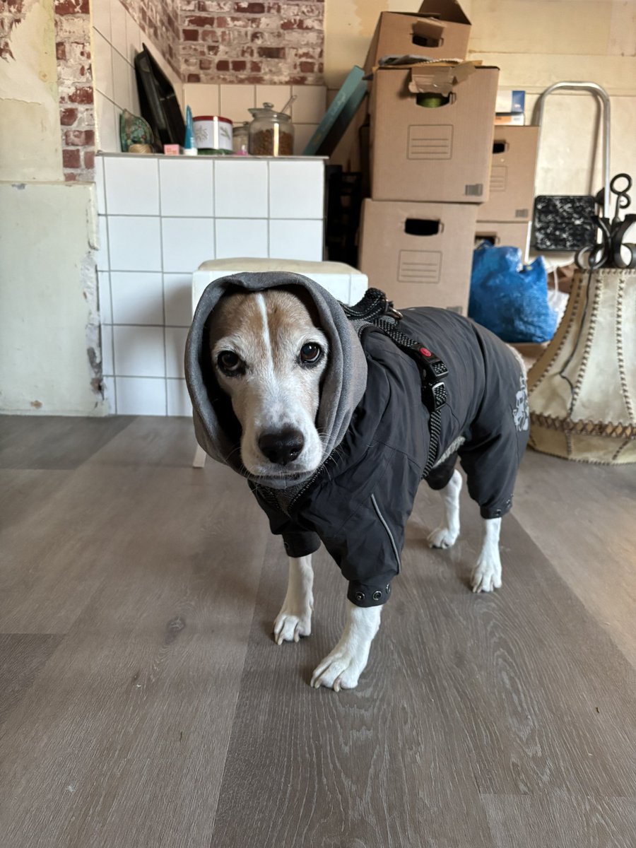 Sports Mode is ON 💪✨