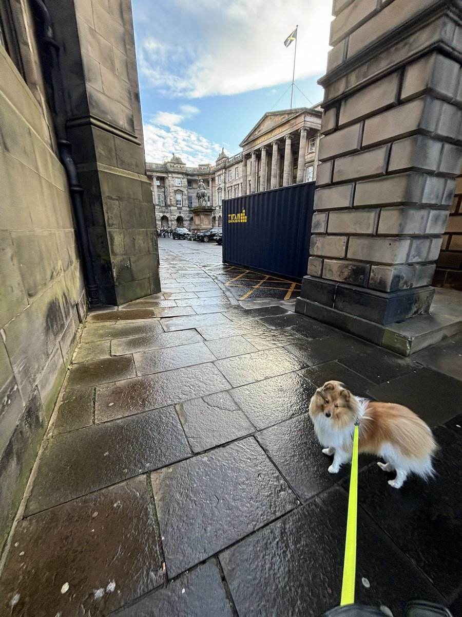 RossMcEwen's tweet photo. In the 337 years it has existed, I doubt the Order of the Thistle has had a Sheltie attend its annual service before,however Siggy did a wonderful job in St Giles Cathedral in Edinburgh on Sunday,and behaved brilliantly for the entire service (phew!)

It’ll be Garter Day next…😉 https://t.co/zYxex5G2DX