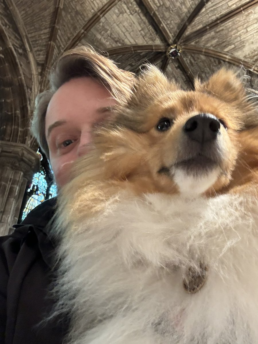 RossMcEwen's tweet photo. In the 337 years it has existed, I doubt the Order of the Thistle has had a Sheltie attend its annual service before,however Siggy did a wonderful job in St Giles Cathedral in Edinburgh on Sunday,and behaved brilliantly for the entire service (phew!)

It’ll be Garter Day next…😉 https://t.co/zYxex5G2DX