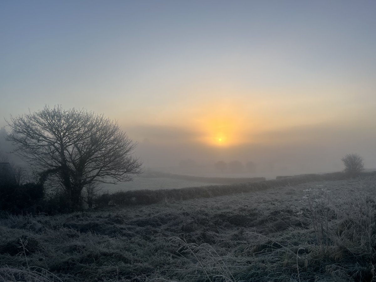 Bernadette Fallon (@bernibee) on Twitter photo “Fog is weather that becomes a space—somewhere that is neither here nor there, a temporary fissure. To me, fog seems to open up a rift in reality: I step out of everyday time and into a cool quietness—a locus  of latent magic.” From <a href="/circleofpines/">Laura Pashby</a> Chasing Fog, via Beth Kephart “Fog is weather that becomes a space—somewhere that is neither here nor there, a temporary fissure. To me, fog seems to open up a rift in reality: I step out of everyday time and into a cool quietness—a locus  of latent magic.” From <a href="/circleofpines/">Laura Pashby</a> Chasing Fog, via Beth Kephart