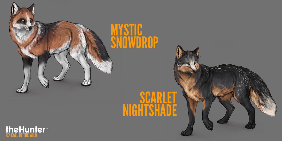 theHunterCOTW tweet media