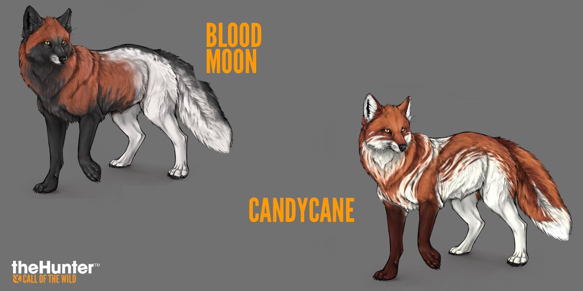 theHunterCOTW tweet media