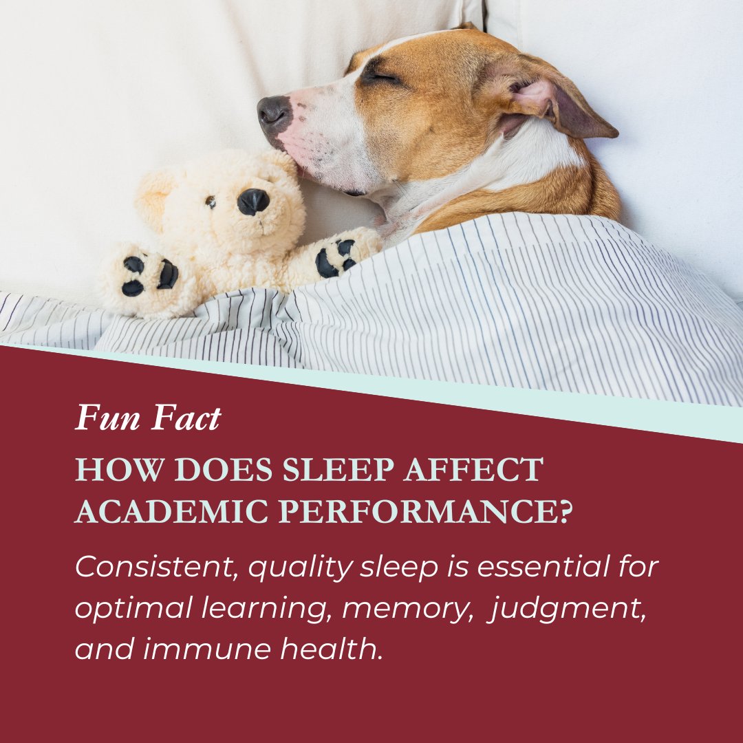 Consistent, quality sleep is essential for optimal learning, memory,  judgment, and immune health 😴 Check out these sleep tips from UChicago Student Wellness: wellness.uchicago.edu/healthy-living…