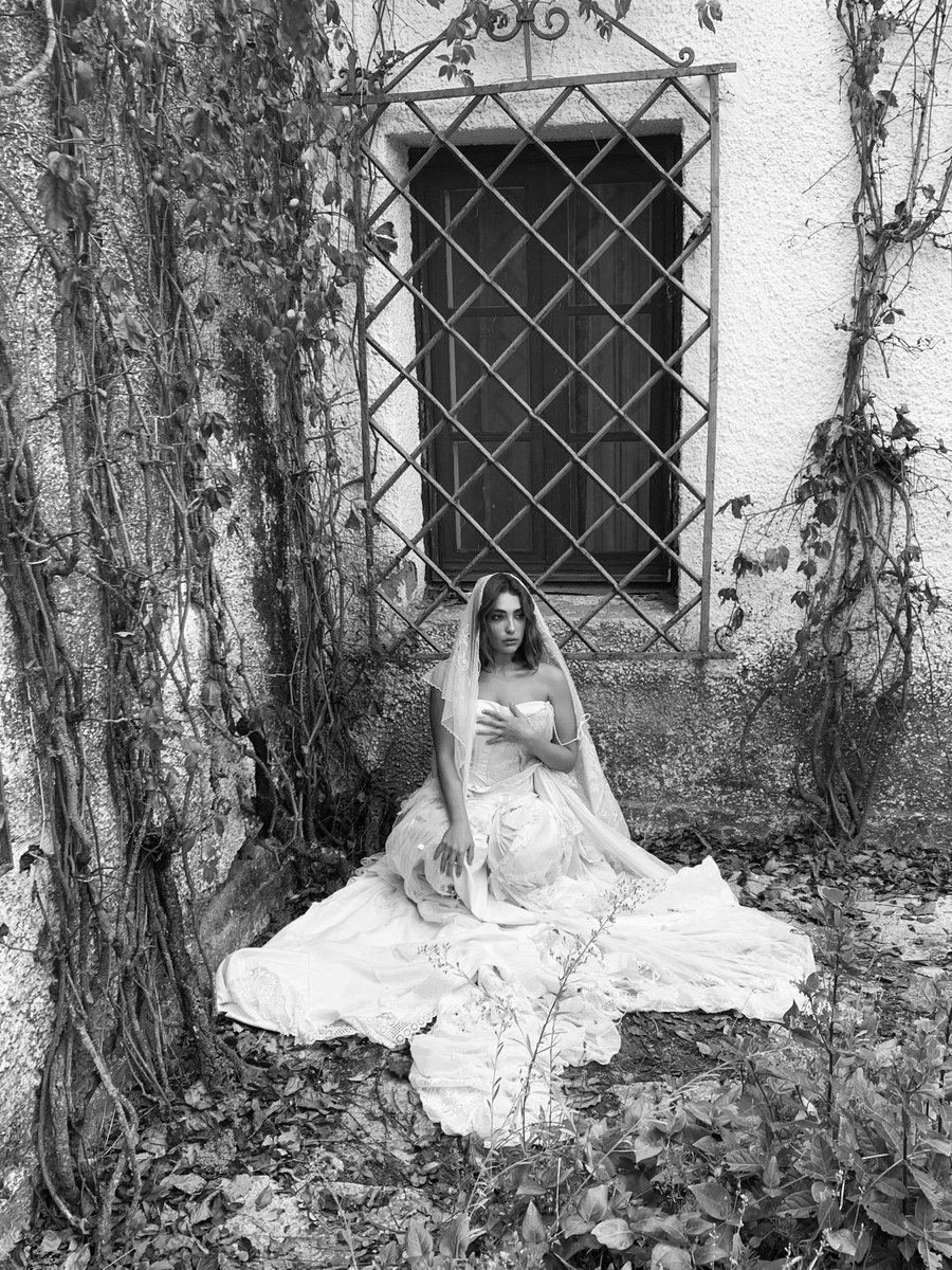 La Nefervivi tweet media