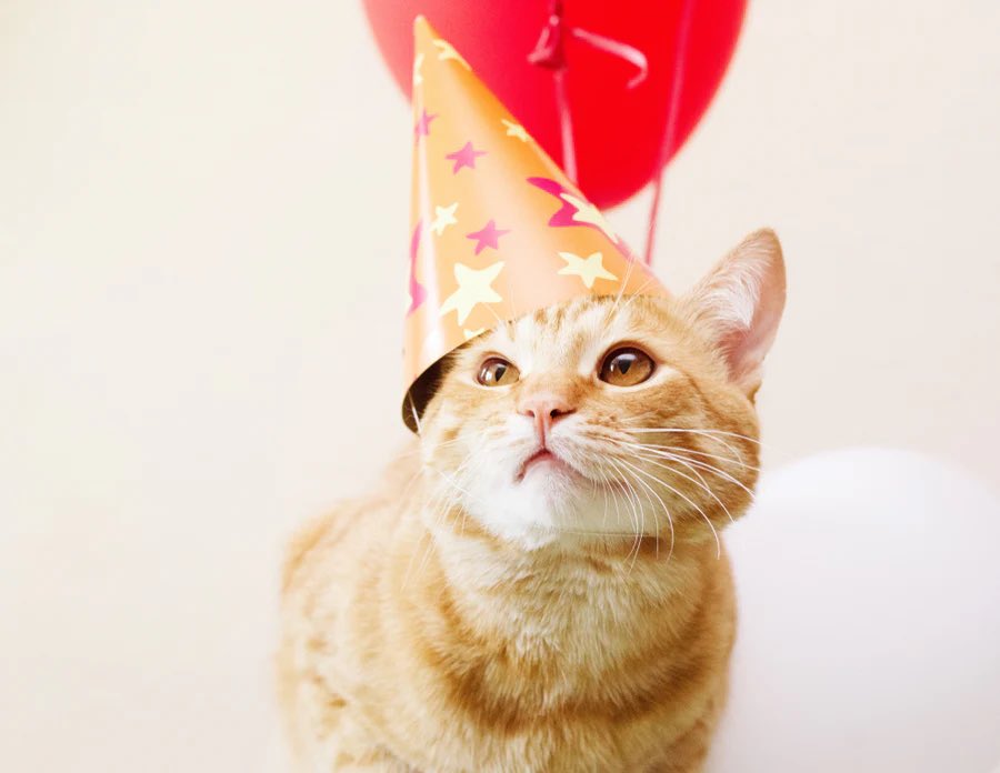 Kernmaster tweet media