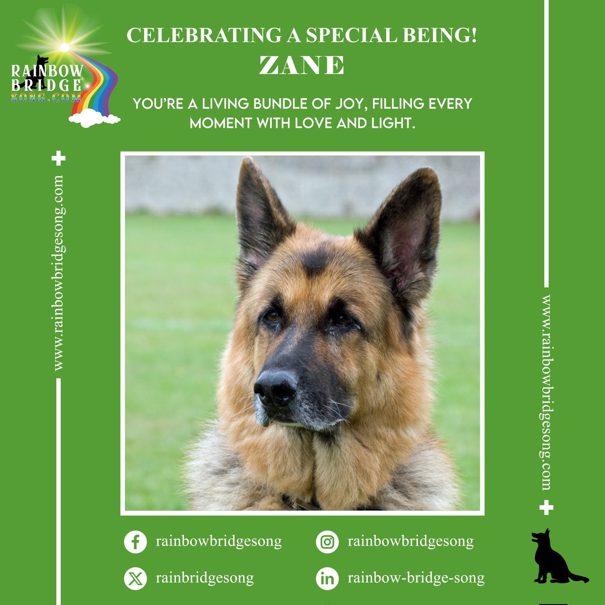 RainBridgeSong's tweet photo. You’re a living bundle of joy, filling every moment with love and light.

#RBS #RainbowBridgeSong #RainbowBridge #CelebratingASpecialBeing #PetsLove #DogsAreFamily #Animals #Nature #Animal #HappyDogLife #PawsOfHappiness #AnimalPhotography #Puppy #Love #PetLovers #DogLovers https://t.co/pS6m47pIrg