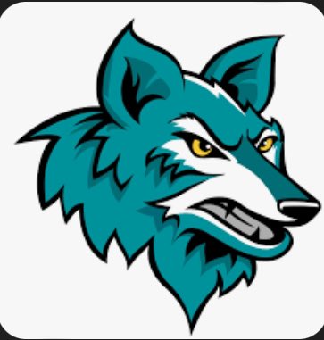 BrasserCru3's tweet photo. I am blessed and honored to announce my commitment to continue my academic &amp; baseball career at Chandler Gilbert CC! I want to thank my family, coaches, and teammates who have supported me! 
@CGYoteBaseball @UrkishGold22 @AlaqcB @AZSandlot https://t.co/usOPZvEYSs