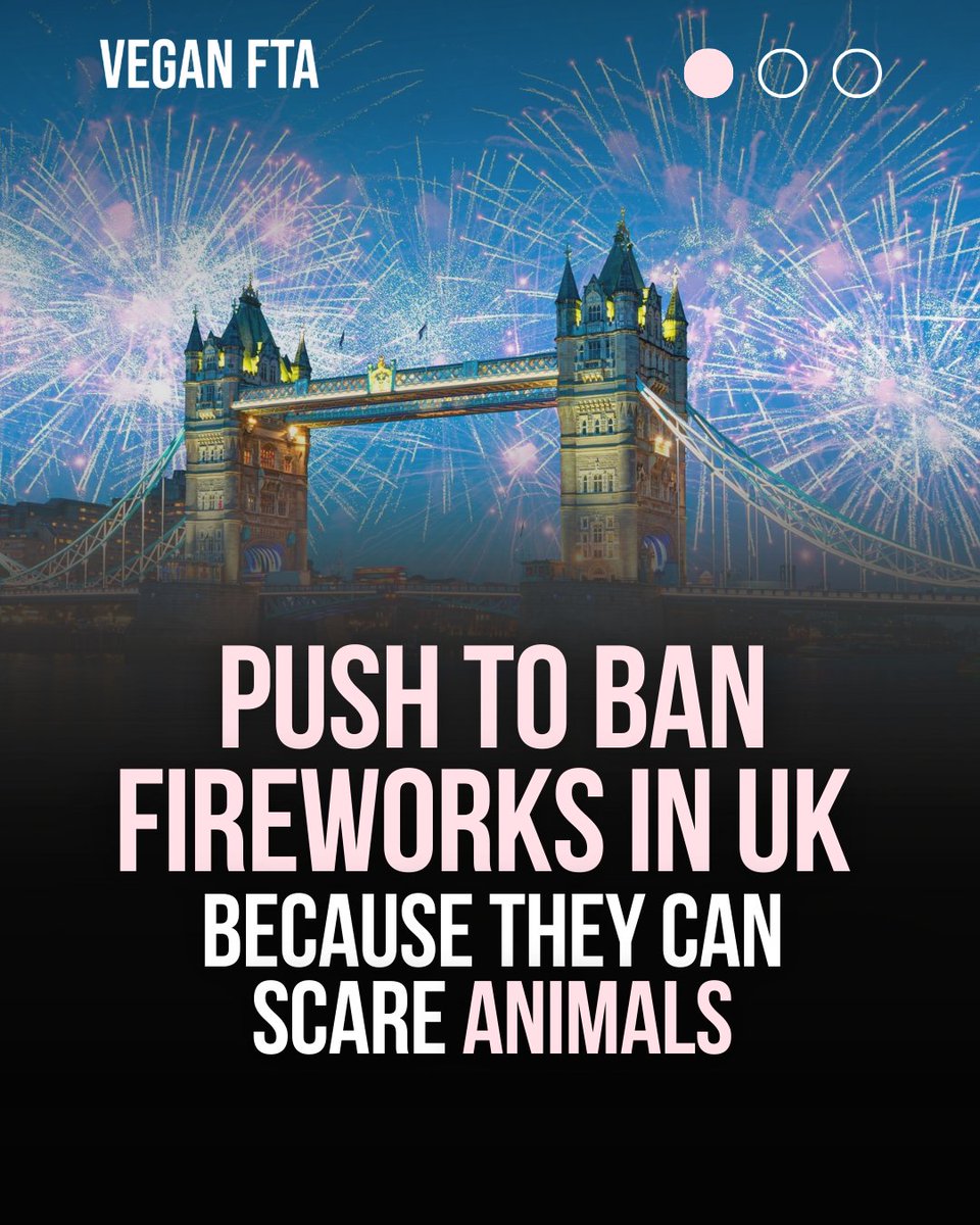 The UK Labour MP Sarah Owen, a former shadow minister and the MP for Luton North, has brought a Private Member's bill which, if passed, would mean that only fireworks of 90 decibels or below (around the volume of a lawnmower) can be sold in the UK. 🎇

Currently, fireworks can be