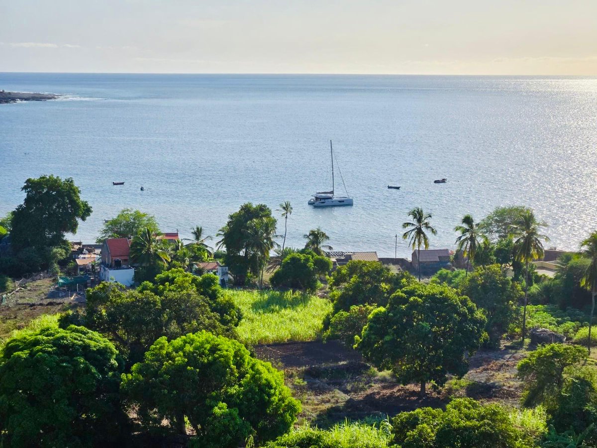 windelocat's tweet photo. 🌴 Anchored off Cape Verde, the New Windelo 50 Adventure "Harmony" blends with nature's beauty.

An owner boat for sustainable exploration, she offers unforgettable views &amp; peaceful escapes.

🌱✨ Where will your sailing dream take you?

#Windelo #Sailing #CapeVerde #OceanFuture https://t.co/DdGNeTnBu3