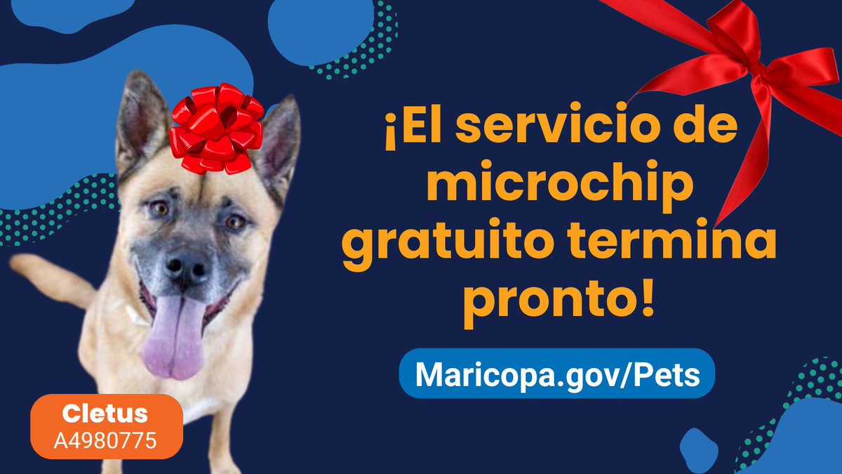 Condado Maricopa tweet media