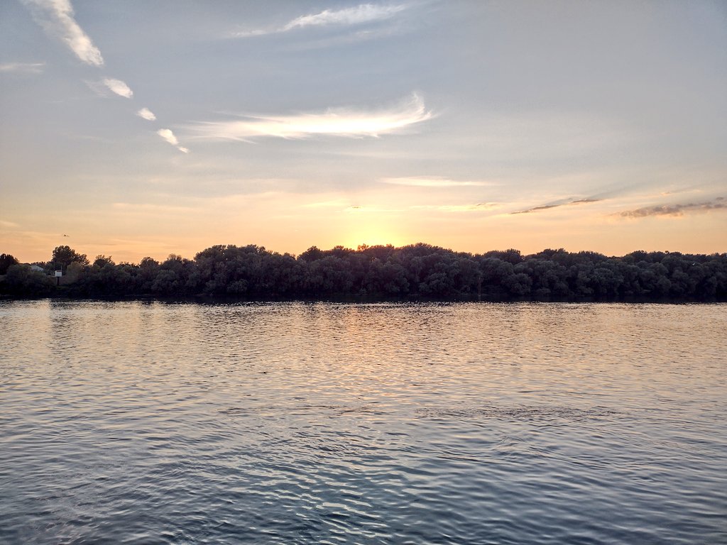 Sarah Riches tweet media