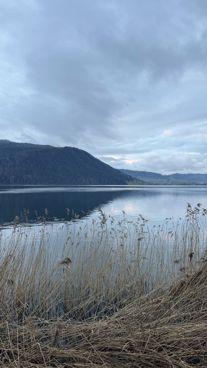 Day 4/24 of the <a href="/DEFITofficial/">DEFIT</a> Xmas challenge 🎅

Only 696 left and still 20 days to go 👀