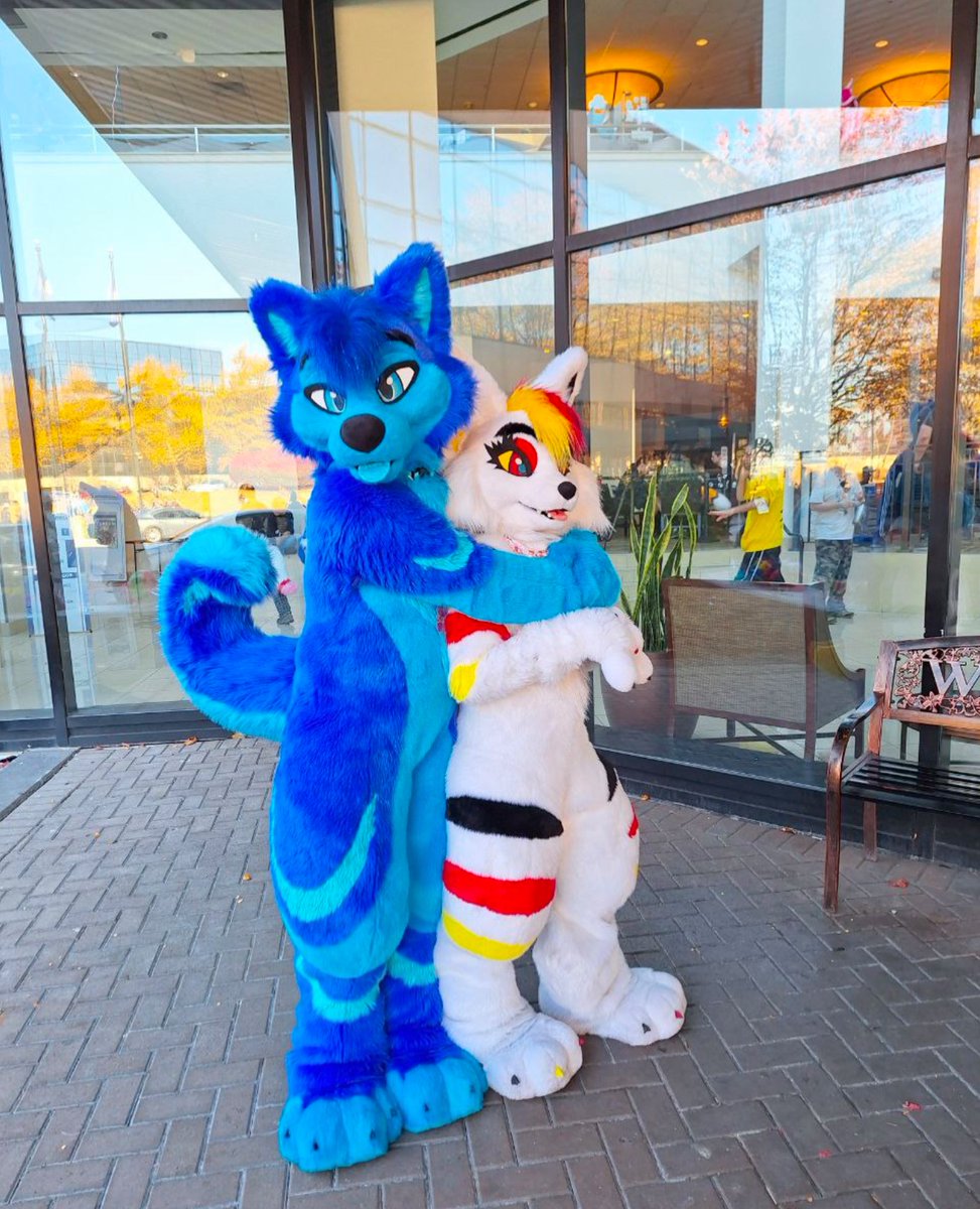 Help! I’ve been captured by a blue husky! 
📸:@/LostProductions
#furry #furries #furryfandom #furrycommunity #fursuit #fursuiter #foryoupage #fyp #fypシ
