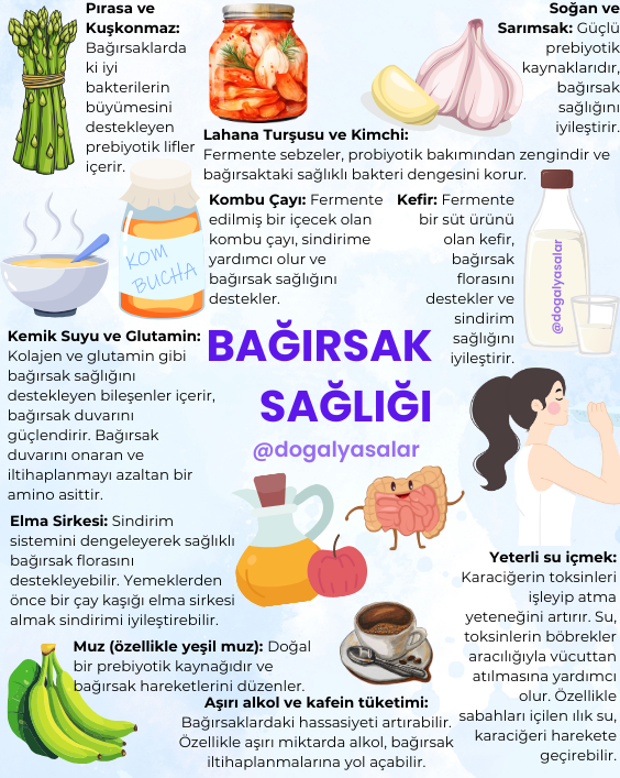 dogalyasalar's tweet photo. Bağırsak ikinci beynimizdir. Bağırsaklar sadece sindirim yapmaz; duygularımızı, bağışıklığımızı ve hatta kararlarımızı etkiler. https://t.co/FUgnqYPNb4