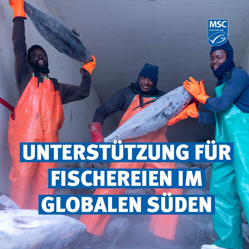 🌍🐟 Unterstützung für Fischereien im Globalen Süden 🐟🌍

Nachhaltige #Fischerei ist der Schlüssel zu gesunden Meeren und sicheren Lebensgrundlagen. Unser neues Verbesserungsprogramm hilft Fischereien weltweit, ihre Praktiken zu verbessern, Zugang zu neuen Märkten zu erhalten