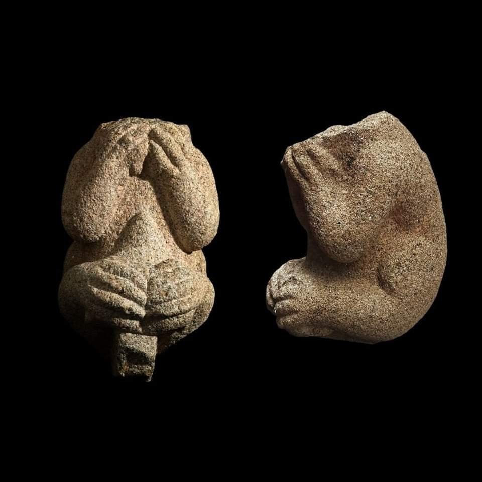 FCMart1n's tweet photo. Na escultura #castrexa diría q as representacións zoomórficas son, en xeral, inusuais. Nada destaca; hai un repertorio riquísimo de animais e se cadra sexa polo marxinal q era este apartado dentro do conxunto da arte.

Do q está á marxe, fóra do canon, pode saír calquer cousa…➡️ https://t.co/xH8Hw71edF
