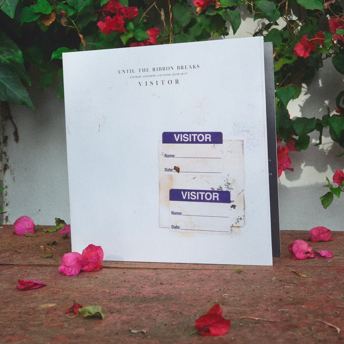 The most personal and meaningful collection of songs I have ever created and for so many reasons, the body of work I am most proud of - VISITOR now available on vinyl. x P

untiltheribbonbreaks.merchtable.com/music/v-i-s-i-…

#vinylcommunity #vinylrecords #vinyl #visitor #untiltheribbonbreaks