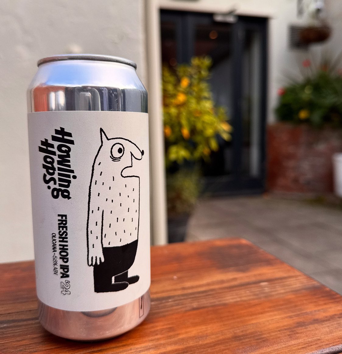 themagnetpub's tweet photo. NEW in at The Magnet 🧲
@HowlingHops
• Olicana Fresh Hop IPA ‘24 (5.8%) 🍻
#magnetcolchester #colchesterbusiness #colchesterpub #colchester #essexpub #howlinghops #micropub https://t.co/FUdbhTolSL