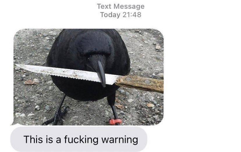 kusamanetwork's tweet photo. If I see anyone mention "theoretical TPS" in the chat again, you’re getting this DM. https://t.co/MVBAU2yYOg