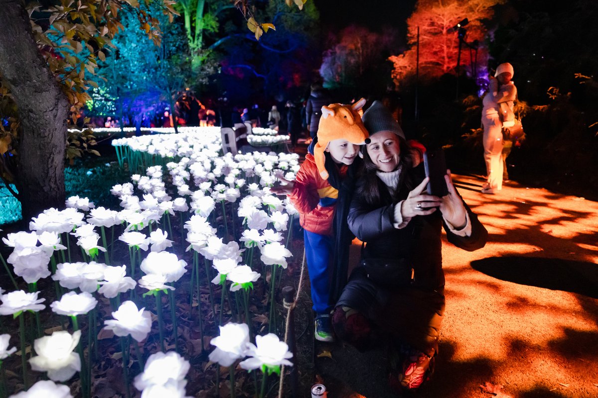 Brooklyn Botanic Garden (@brooklynbotanic) on Twitter photo What’s your favorite part of Lightscape? 💡
Each year is a unique multi-sensory experience you won’t want to miss!
Tickets and more info: bbg.org/lightscape
Lead sponsor, <a href="/ConEdison/">Con Edison</a>. In partnership with <a href="/sonymusic/">Sony Music</a>. Illuminated trail created by <a href="/CCLCreative/">Culture Creative</a>. What’s your favorite part of Lightscape? 💡
Each year is a unique multi-sensory experience you won’t want to miss!
Tickets and more info: bbg.org/lightscape
Lead sponsor, <a href="/ConEdison/">Con Edison</a>. In partnership with <a href="/sonymusic/">Sony Music</a>. Illuminated trail created by <a href="/CCLCreative/">Culture Creative</a>.