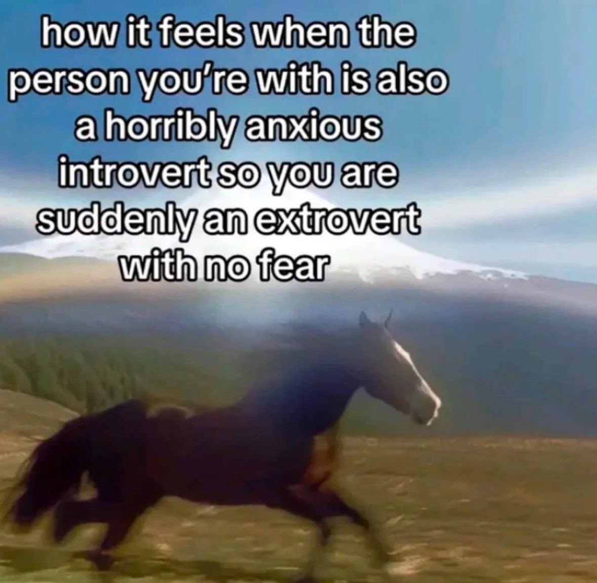 ✧ (@northstardoll) on Twitter photo 