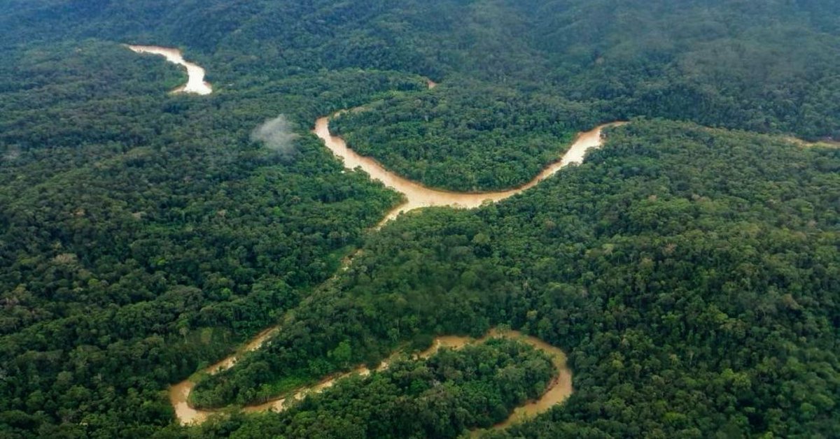 El Dato Ec 🇪🇨 on X: "#Urgente ¡NOBOA IMPULSA CANJE DE DEUDA PARA CONSERVAR LA AMAZONÍA ECUATORIANA! El presidente Daniel Noboa ha impulsado un nuevo canje de deuda con enfoque en la