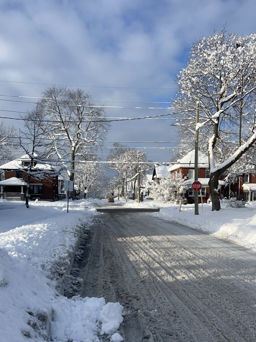 angel 🦈 tweet media