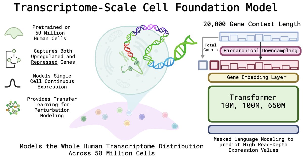 antisense. tweet media