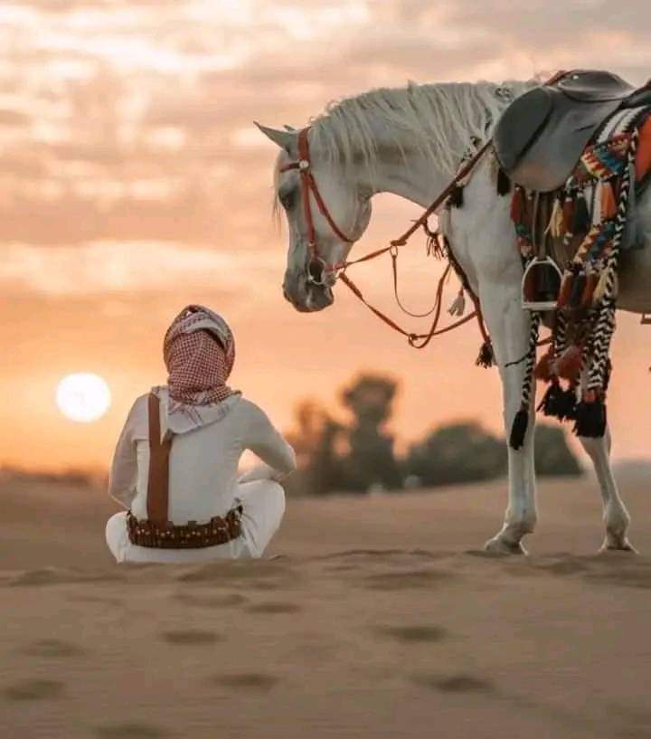 ويكفيگ شخصٌ وَاحد في ذاكرةِ الرُّوح
 طَيفهُ يُساوي كُلَ العابِرين أَمامَگ..🦋🤍