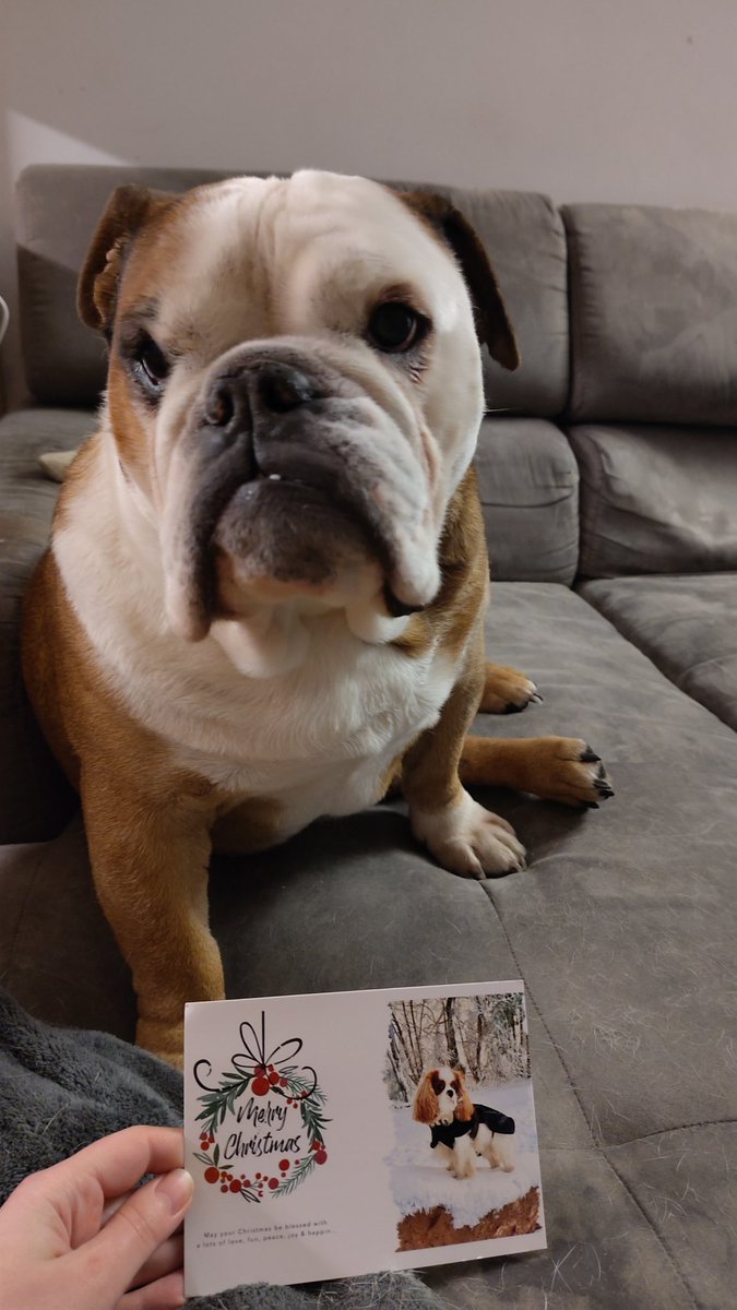 Danke, <a href="/OskarEdelhain/">Nils Oskar vom Edelhain </a> ! Wir freuen uns sehr über unsere erste Weihnachtspost 🥰