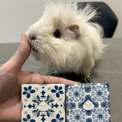 #NewProfilePic (新個人資料照片)