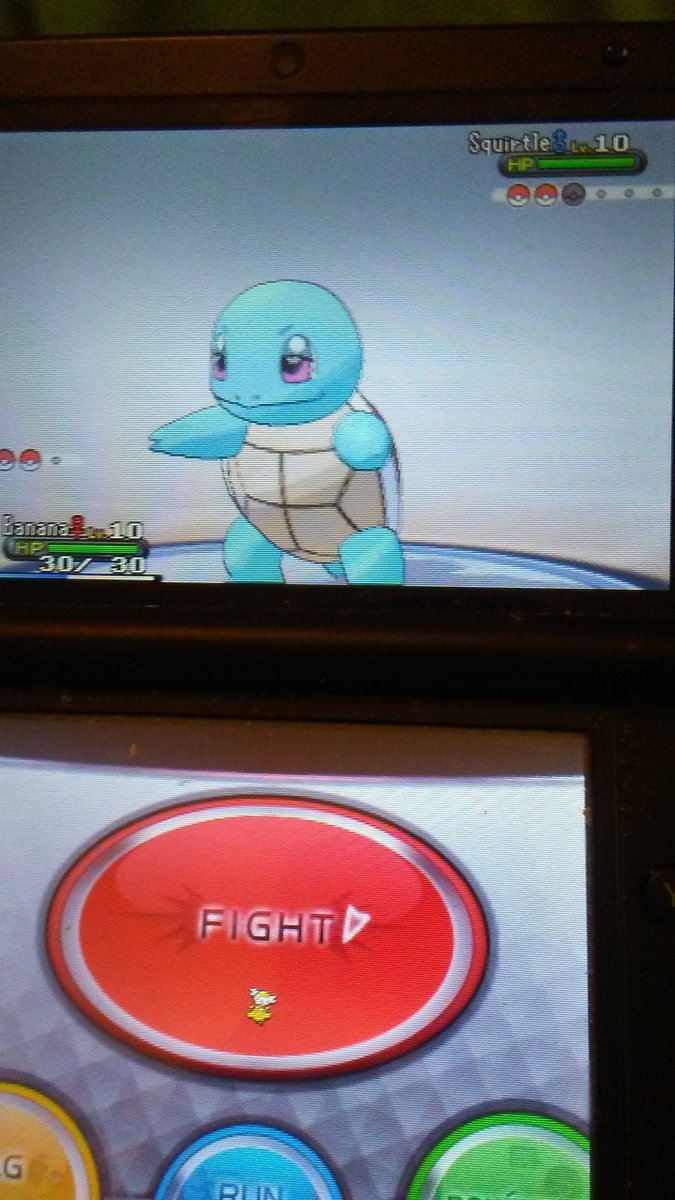 That moment when squirtle looked high #Pokemon