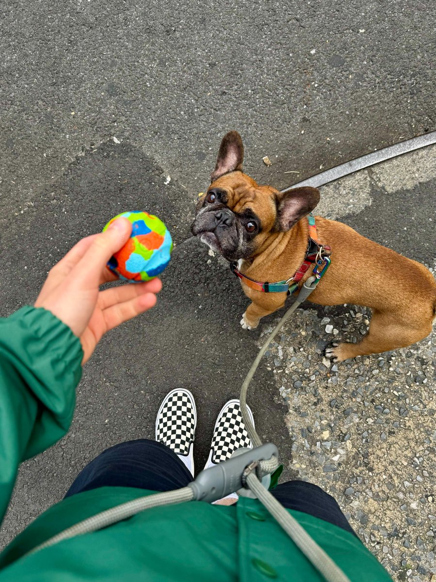 Crispybug_eth's tweet image. Hi 👋 I&apos;m Lucas, glad to see you on my page. 

A little about me: I love my dog, I love cooking, photography and biking 🚴‍♂️. 
In fact, I could have many hobbies if it weren&apos;t for my busyness at work ha ha ha ha ha

Check out my work at NFT here: opensea.io/crispybug