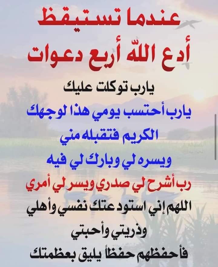 محمد على الجمال (@mohamadalgammal) on Twitter photo 