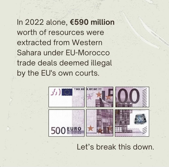 How much the EU taken saharawis in one year?